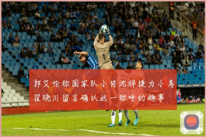 郭艾伦称国家队小将沈梓捷为小鸟翟晓川留言确认这一称呼的趣事