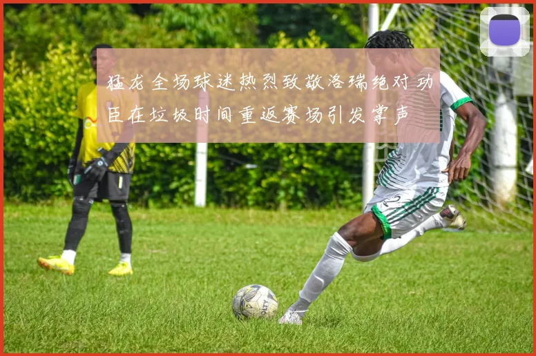 猛龙全场球迷热烈致敬洛瑞绝对功臣在垃圾时间重返赛场引发掌声