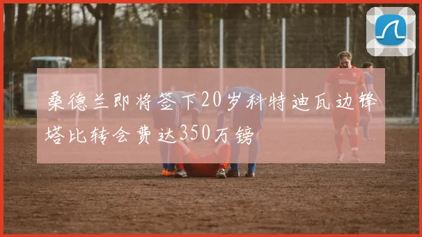 桑德兰即将签下20岁科特迪瓦边锋塔比转会费达350万镑